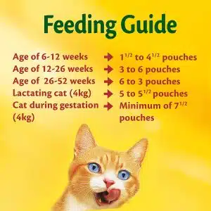 سوپ بچه گربه فریسکیز با طعم مرغ