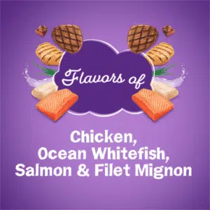 غذای فریسکیز گربه