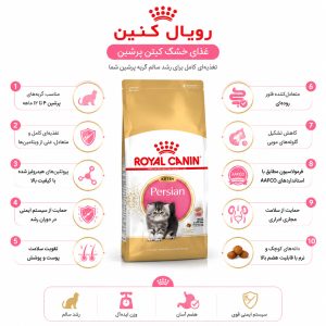 رویال کنین پرشین کیتن