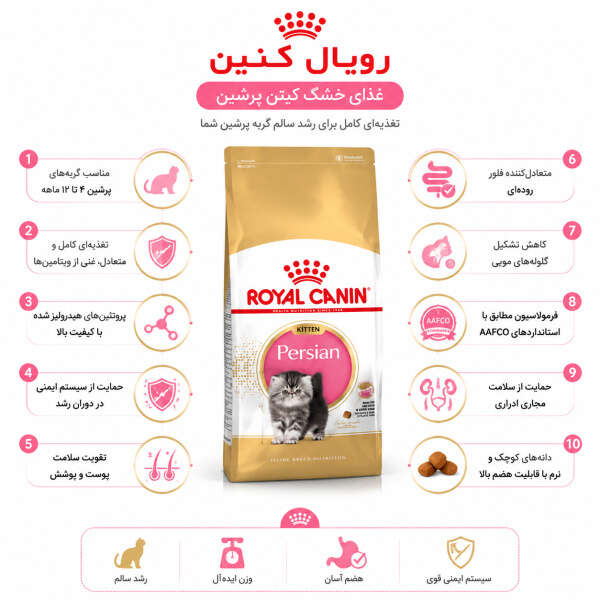 غذای رویال کنین پرشین کیتن