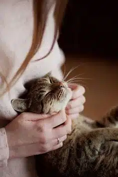 مزایای داشتن پت در خانه