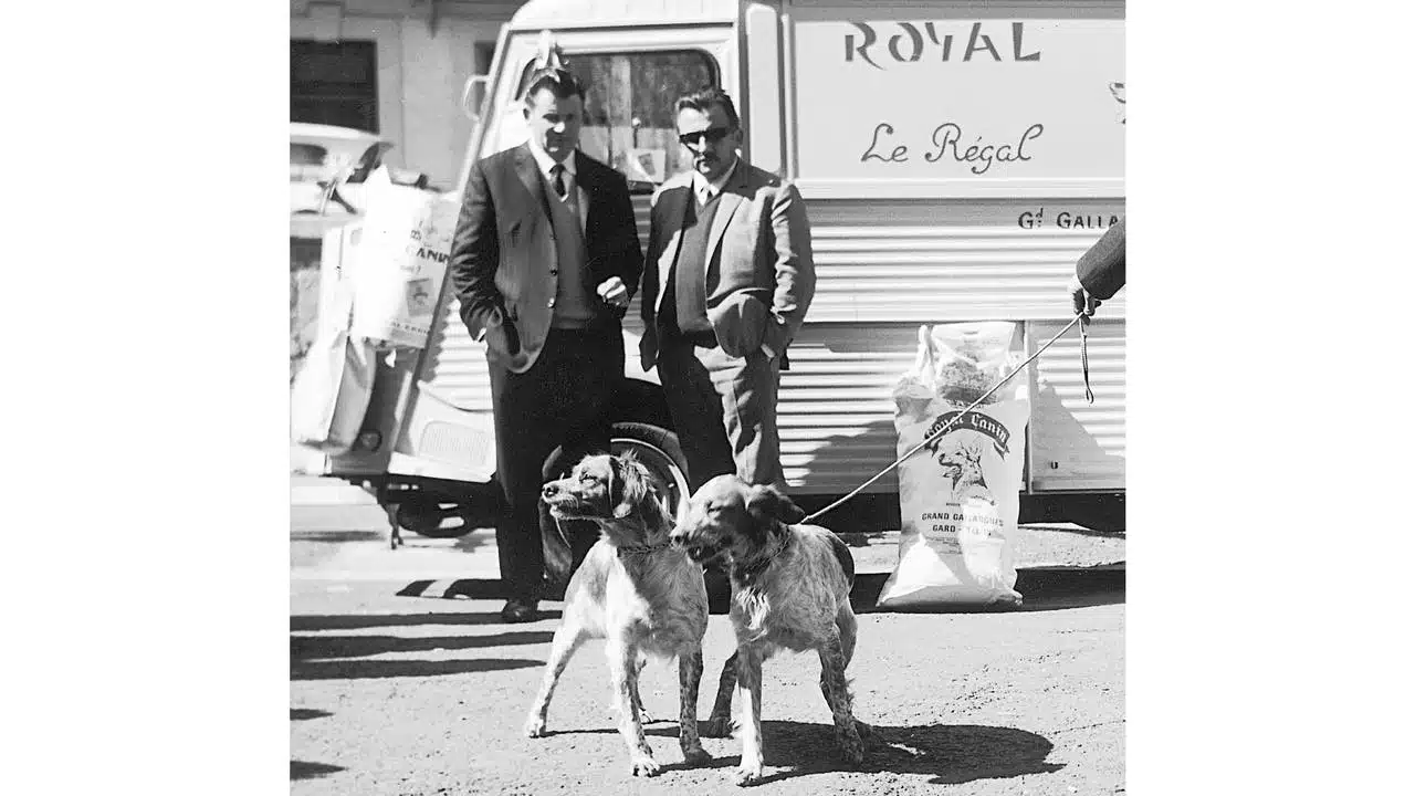 Royal canin