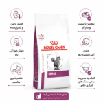 غذای گربه رنال برای مشکلات کلیه رویال کنین