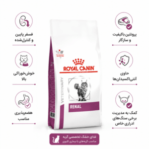 غذای گربه رنال برای مشکلات کلیه رویال کنین