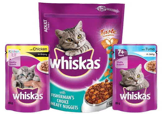 خرید غدای سگ و گربه