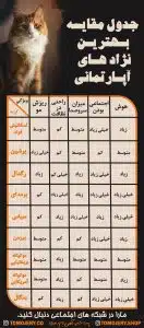 مقایسه و انتخاب گربه مناسب