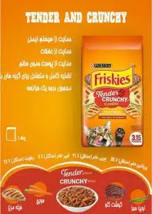 غذای خشک گربه فریسکیز
