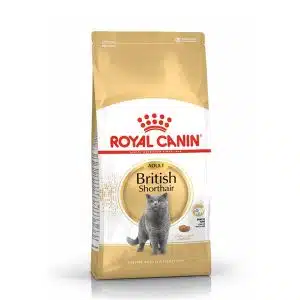 غذای خشک گربه بالغ موکوتاه بریتانیایی