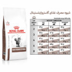 غذای گربه گاسترواینتستینال رویال کنین