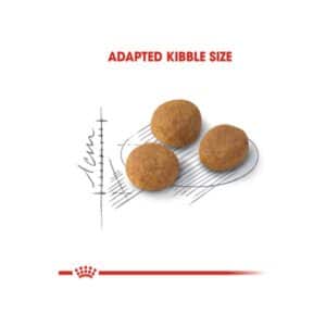 غذای-خشک-گربه-آروما-اگزیجنت-رویال-کنین-Royal-Canin-Aroma-Exigent-وزن-2-کیلوگرم-02 (1)