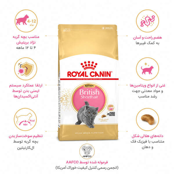غذای گربه بریتیش کیتن (بچه گربه شورت هیر)
