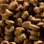 غذای خشک گربه با طعم بره - Happycat