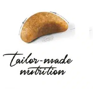 غذای خشک بچه گربه بریتیش شورت هیر