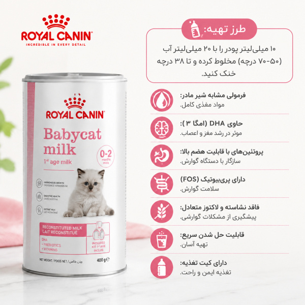 شیرخشک بچه گربه کیتن رویال
