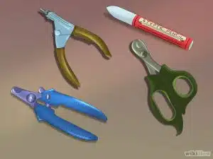 ابزار لازم برای گرفتن ناخن گربه