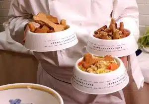 وسایل ضروری برای سگ