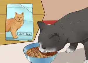 مسواک زدن گربه