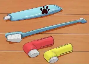 مسواک زدن گربه