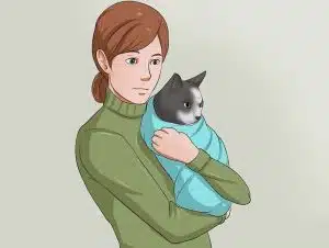 مسواک زدن گربه