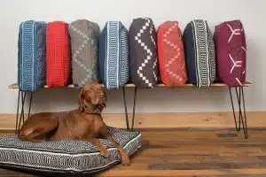 جای خواب سگ