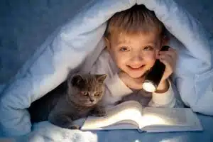 تخت خواب گربه