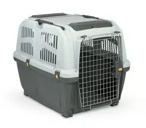 قفس یا باکس مناسب برای سگ