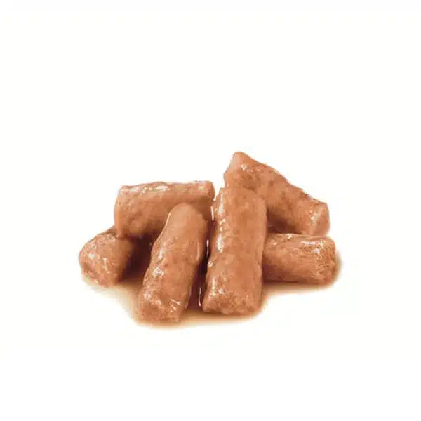 پوچ گربه بریتیش شورت هیر