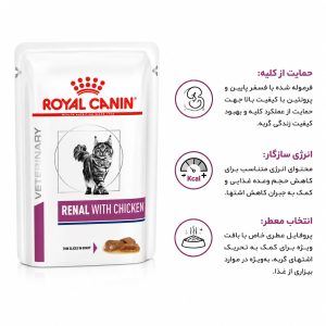 پوچ رنال رویال کنین گربه