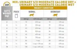 پوچ گربه یورینری اس او