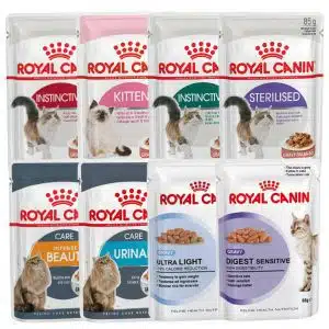 سوپ گربه رویال کنین