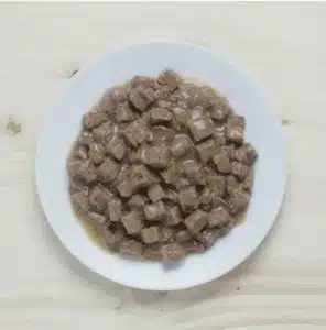 غذای پوچ گربه