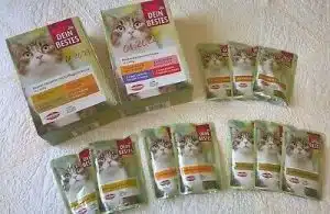 پوچ گربه دین بستس