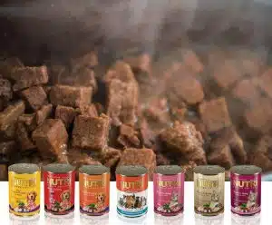 کنسرو گربه نوتری پت