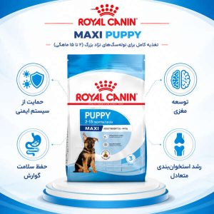 غذای سگ مکسی پاپی رویال کنین