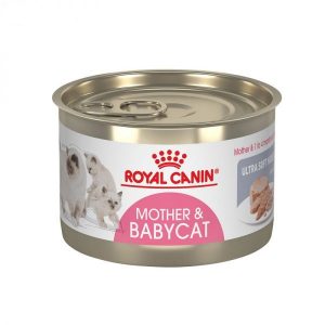 کنسرو مادر و بچه گربه رویال کنین _ Royalcanin
