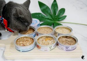 غذای کنسرو برای گربه