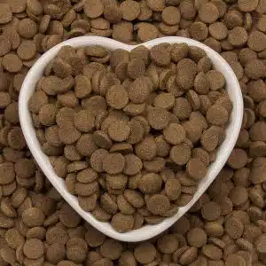 ویژگی های غذای خشک گربه