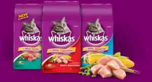 غذای خشک گربه برند ویسکاس