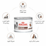 کنسرو ریکاوری رویال کنین سگ و گربه