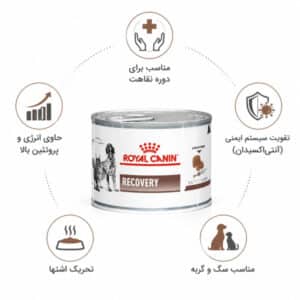 کنسرو ریکاوری رویال کنین سگ و گربه