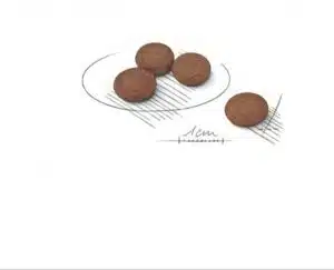 غذا خشک سگ دایجستیو رویال کنین