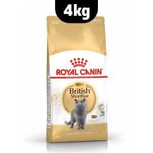 british-shorthair-royalcanin-cat-food
