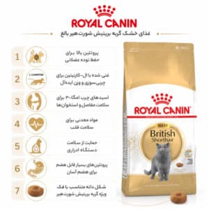 غذای بریتیش رویال کنین