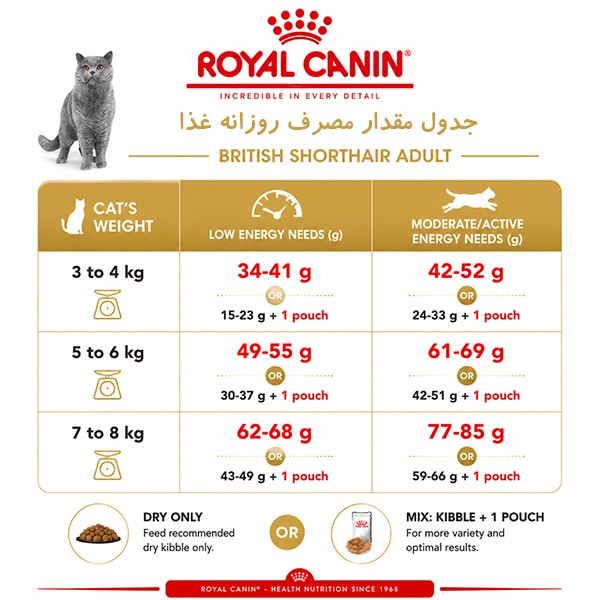 غذای گربه بالغ بریتیش رویال کنین ـ RoyalCanin British Shorthair — تصویر ۴