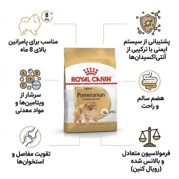 غذای سگ پامرانین رویال کنین
