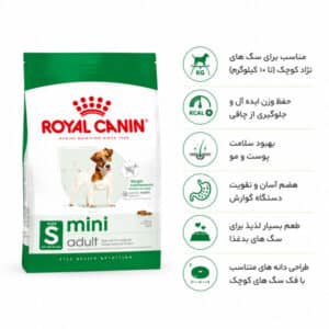 غذای مینی ادالت رویال کنین