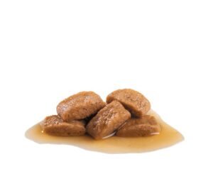 پوچ سگ maxi adult رویال کنین