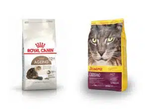 غذای خشک گربه