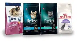 غذای گربه عقیم شده