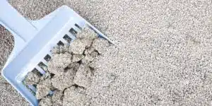 خاک گربه کلامپینگ